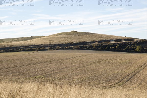 Adam's Grave long barrow burial mound, Walkers Hill, Alton Barnes, Wiltshire, England, UK