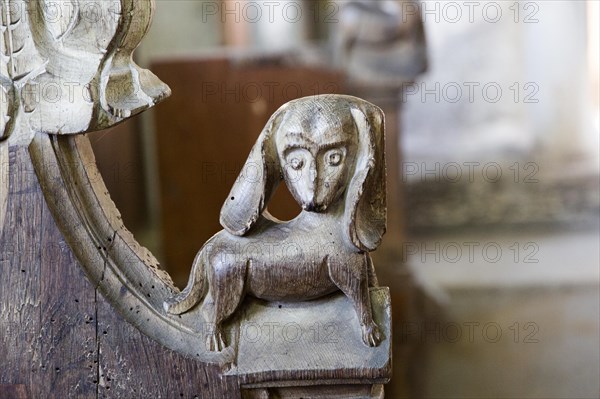 Carved medieval bench ends at All Saints church, South Elmham, Suffolk, England, UK, a dog with long floppy ears