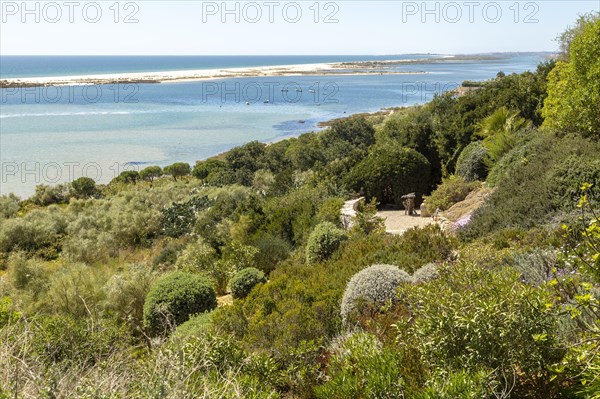 Coastal wooded landscape of pristine beaches and lagoon behind offshore sandbar, Cacela Velha, Vila Real de Santo Antonio, Algarve, Portugal, Southern Europe, Ria Formosa Natural Park, Europe