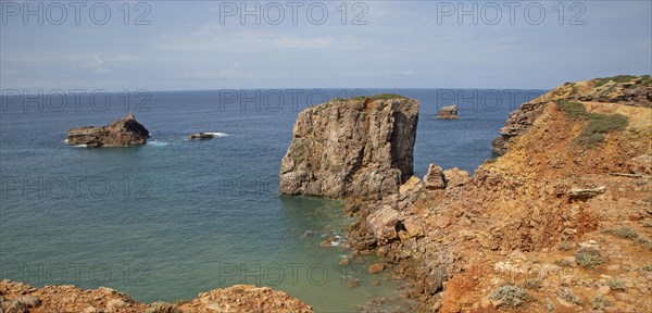 Coastal stacks and stumps orange coloured crumbling cliffs rise from Atlantic Ocean at Cabo de Sao Vicente, Cape St Vincent, Algarve, Portugal, southern Europe, Europe
