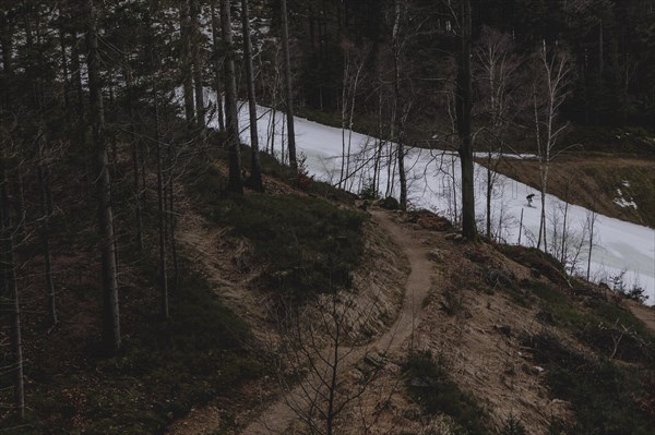 A skier on a ski slope in the Jizera Mountains ski resort near Albrechtice v Jizerskych Horach, 05.02.2024. The Czech low mountain range with its ski resort is affected by increasingly warmer and shorter winters