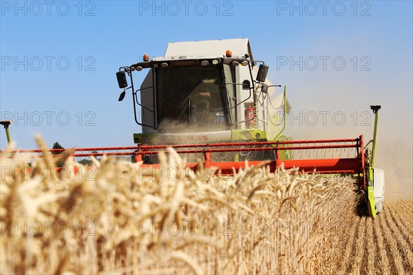 Harvesting grain with a combine harvester in a field near Ludwigshafen