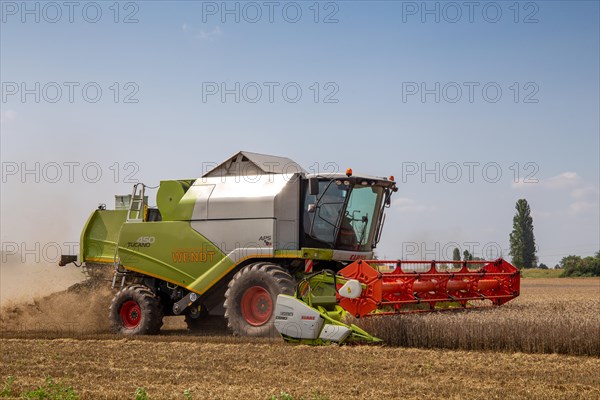 Grain harvest near Hockenheim, Baden-Wuerttemberg