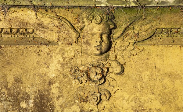 Close up of stonework carving of cherub angel face and wings on gravestone, UK