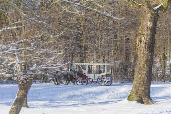 Carriage ride along the canal between the hunting lodge and the Fasanenschloesschen, Moritzburg, Saxony, Germany, Europe