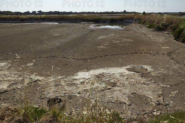 Oyster breeding tank in Saint-Pierre-d'Oleron, Departement Charente-Maritime, Nouvelle-Aquitaine, France, Europe