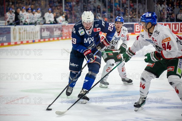 Game scene Adler Mannheim against Augsburg Panther (PENNY DEL, German Ice Hockey League)