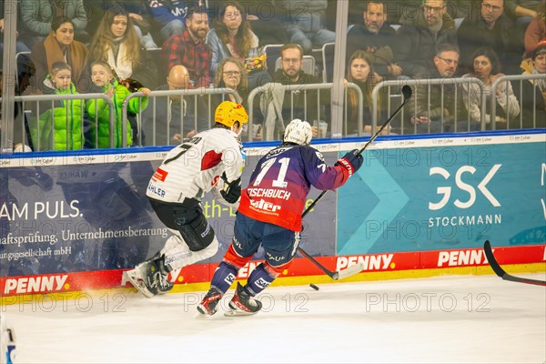 Game scene Adler Mannheim against Fischtown Pinguins Bremerhaven (PENNY DEL, German Ice Hockey League)