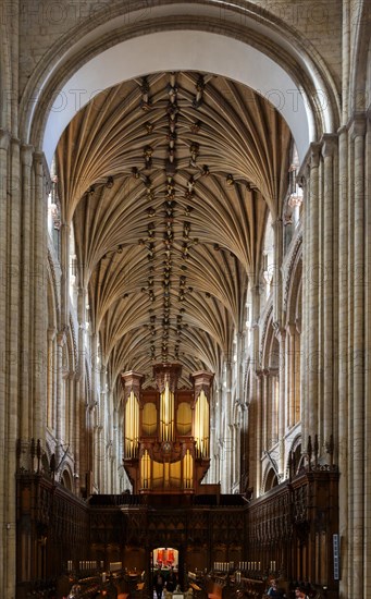 Vaulted stone roof ceiling of the nave inside Norwich Cathedral, Norfolk, England, UK