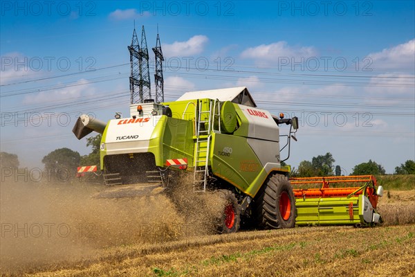 Grain harvest near Hockenheim, Baden-Wuerttemberg