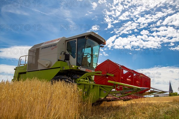 Grain harvest in the district of Bad Duerkheim (Rhineland-Palatinate)