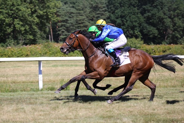 Horse racing at the Hassloch racecourse, Palatinate