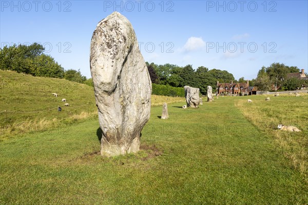 Standing stones in south west quadrant neolithic stone circle henge prehistoric monument, Avebury, Wiltshire, England UK