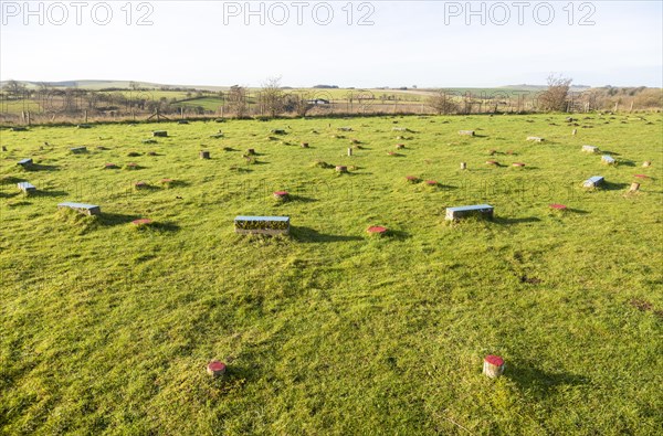 Concrete post markers at neolithic The Sanctuary prehistoric site, Overton Hill, Wiltshire, England, UK