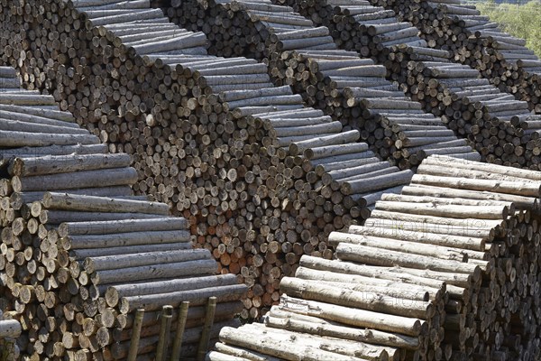 Lumberyard in Ferndorf, Carinthia, Austria, Europe