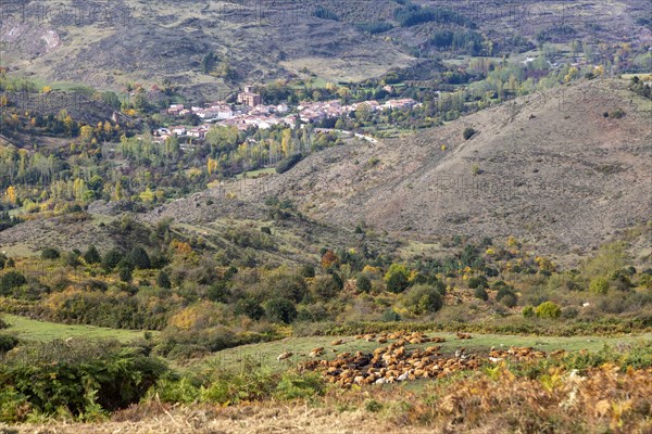 Rural settlement in valley, Fresneda de la Sierra Tiron village in province of Burgos, Castile and Leon, Spain, Europe