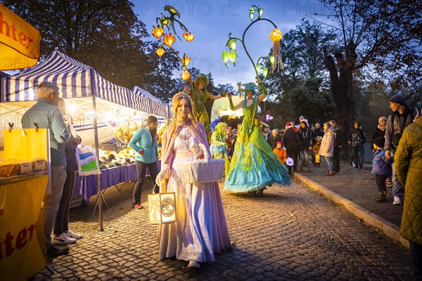 Evening atmosphere at the Fasanenschloesschen, Moritzburg, Saxony, Germany, Europe