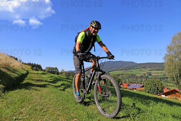 Mountain bike tour through the Bavarian Forest with the DAV Summit Club: Descent in a meadow paths towards Arrach. In the background, the summit of the Osser, a mountain on the border between Germany and the Czech Republic