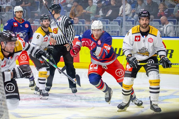 Game scene Adler Mannheim against Rouen Dragons (Champions Hockey League)