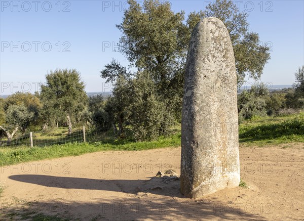 Neolithic standing stone 4 metres high called the Menir dos Almendres, near Evora, Alentejo, Portugal, Southern Europe, Europe