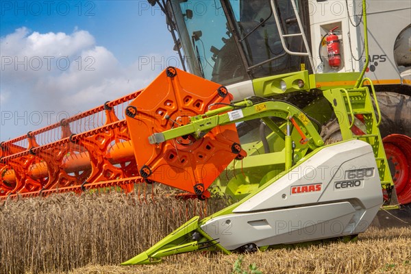 Grain harvest near Hockenheim, Baden-Wuerttemberg