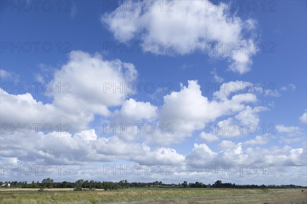 White fluffy cumulus clouds in blue sky summer weather, Suffolk, England, UK