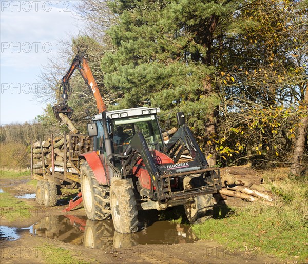 Faucheux tractor using grabber to load logs from woodland, Suffolk Sandlings AONB, England, UK