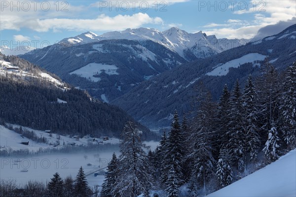 Moelltal near Winklern, Carinthia, Austria, Europe