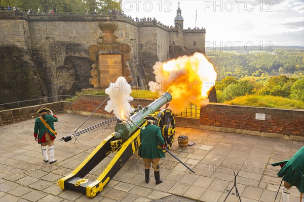 Koenigstein Fortress in Saxon Switzerland. A cannon belonging to the Koenigstein Fortress, built in 1712, was christened DIE STARKE AUGUSTE and fired. By the Electoral Saxon Gunners 1730 of the Rifle Society Friedersdorf., Koenigstein, Saxony, Germany, Europe