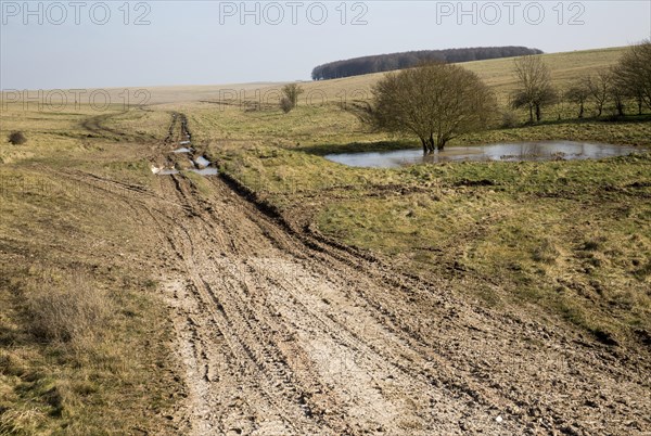 Chalk landscape scenery near Chitterne, Salisbury Plain, Wiltshire, England, UK