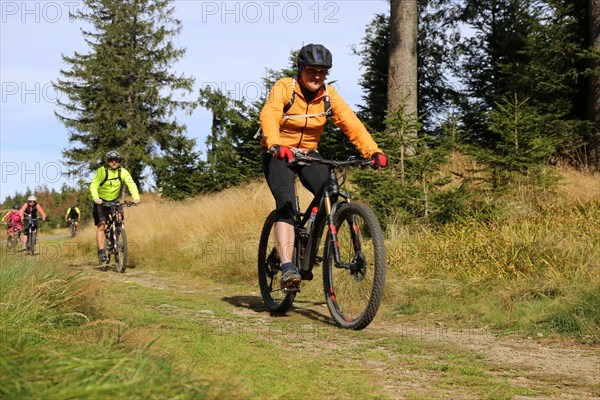 Mountain bike tour through the Bavarian Forest with the DAV Summit Club: Mountain bikers in the Bohemian Forest near the border with Bavaria