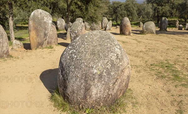 Neolothic stone circle of granite boulders, Cromeleque dos Almendres, Evora district, Alentejo, Portugal, southern Europe, Europe