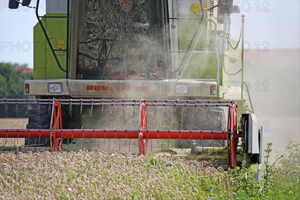 Agriculture grain harvest (Rhineland-Palatinate, July 2020)