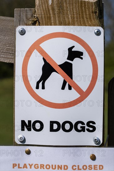 Macro close up of No Dogs sign on fencepost, Sutton, Suffolk, England, UK