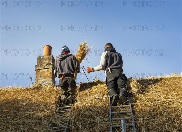 Thatchers working on roof of thatched country cottage, Great Bedwyn village, Wiltshire, England, UK