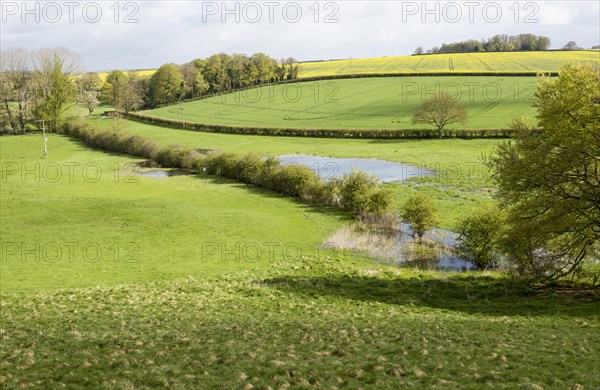 River Till seasonal chalk stream known as a winterbourne, Orcheston, Wiltshire, England, UK