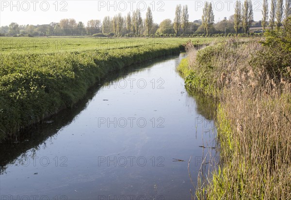 Drainage channel in lowland farmland, Oxley Marshes, Hollesley, Suffolk, England, UK