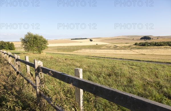 Rolling hills and fields chalk landscape near Beckhampton, Wiltshire, England, UK