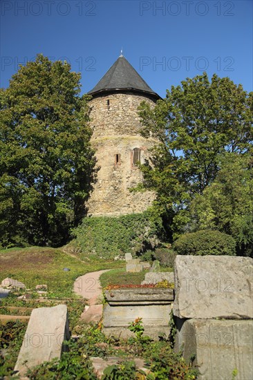 Historic Alexander Tower, Kupferberg Sparkling Wine Cellars, Tower, Oberstadt, Mainz, Rhine-Hesse region, Rhineland-Palatinate, Germany, Europe