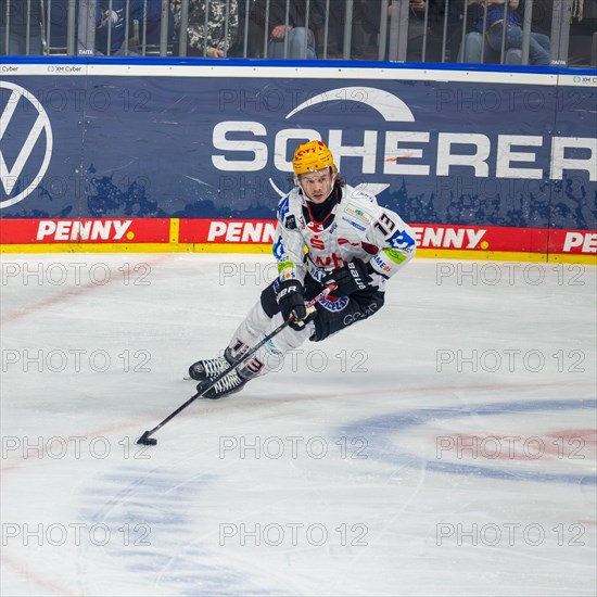 Ziga Jeglic (Fischtown Pinguins Bremerhaven) at the DEL (German Ice Hockey League) away game at Adler Mannheim