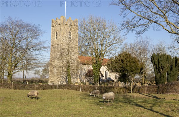 Church of St Michael South Elmham, Suffolk, England, UK