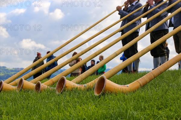 Alphorn players in Bavaria Germany . The alphorn is a traditional wind instrument in the Alps (Waltenhofen, 03/10/2019)