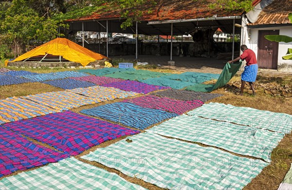 A man spreads colorful fabrics to dry on the grass at Dhobi Khana Public Laundry, Fort Kochi, Cochin, Kerala, India, Asia