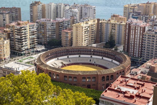 Historic bullring in city of Malaga surrounded by high rise apartments, Malaga, Andalusia, Spain, Europe