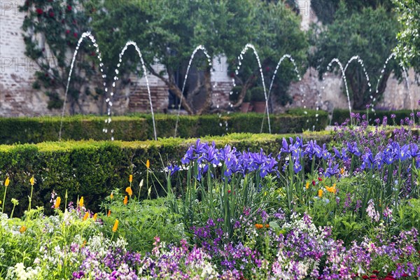 Splendour of flowers in spring, historic gardens, water features, Generalife Gardens, Alhambra, Granada, Spain, Europe