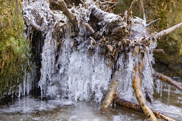 Severe frost has formed bizarre ice formations in the riverbed of the Gottleuba, Bergieshuebel, Saxony, Germany, Europe