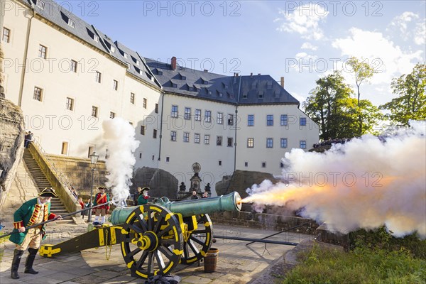 Koenigstein Fortress in Saxon Switzerland. A cannon belonging to the Koenigstein Fortress, built in 1712, was christened DIE STARKE AUGUSTE and fired. By the Electoral Saxon Gunners 1730 of the Rifle Society Friedersdorf., Koenigstein, Saxony, Germany, Europe