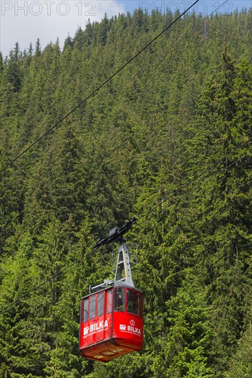 A red cable car gondola hovering over dense fir trees in a mountain forest, Balea Cascada cable car station, Transfogarasan High Road, Transfagarasan, TransfagaraÈ™an, FagaraÈ™ Mountains, Fagaras, Transylvania, Transylvania, Transylvania, Ardeal, Transylvania, Carpathians, Romania, Europe