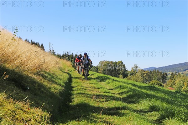 Mountain bike tour through the Bavarian Forest with the DAV Summit Club: Descent in a meadow paths towards Arrach