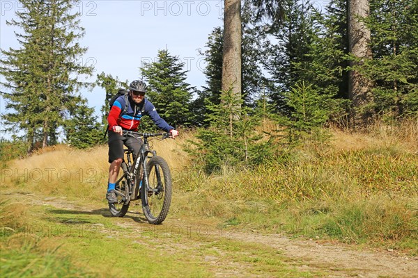 Mountain bike tour through the Bavarian Forest with the DAV Summit Club: Mountain bikers in the Bohemian Forest near the border with Bavaria